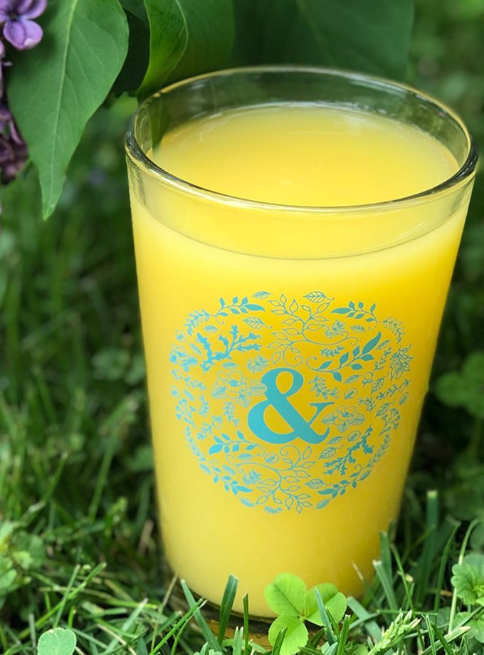 Ampersand Pint Glass